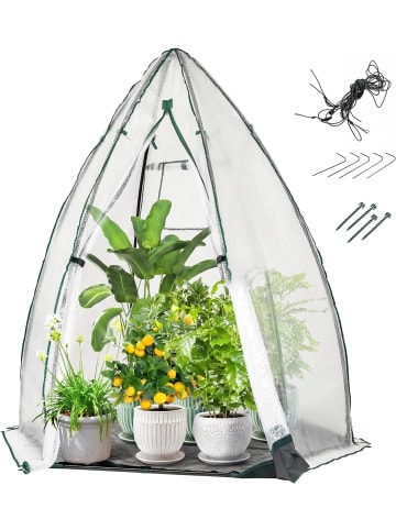 COSTWAY Gewächshaus 160 x 139 x 182 cm in Transparent