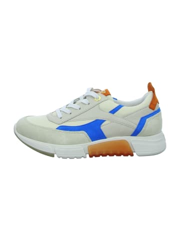 Paul Green Sportliche Schnürschuhe in Beige