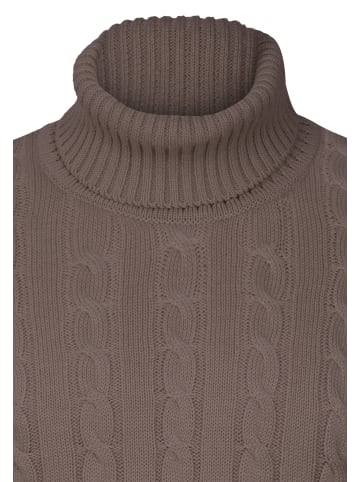 Felix Hardy Pullover in braun