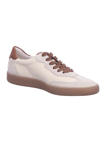 Paul Green Schnürschuh in biscuit