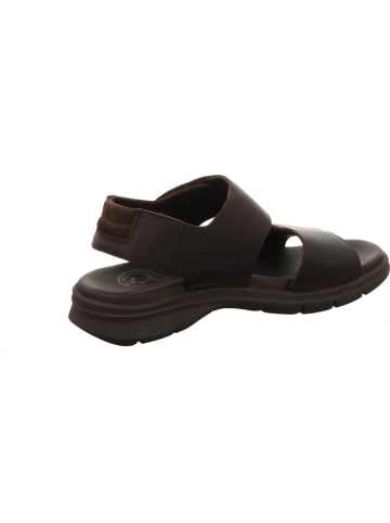 PANAMA JACK Sandalen in braun