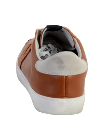 Victoria Sneaker 23601 Braun