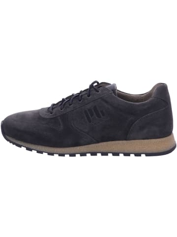 Pius Gabor Sneaker Low in grau