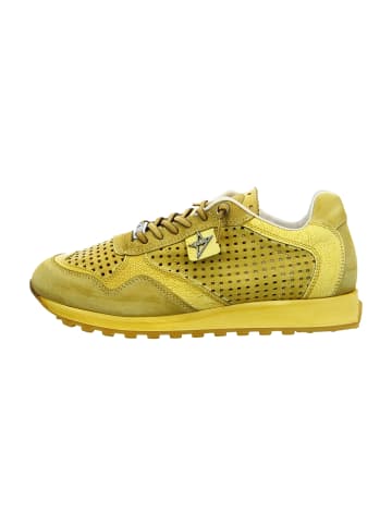 Cetti Sneaker Low in Gelb