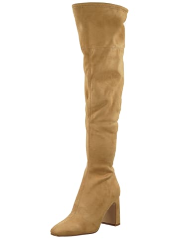 Steve Madden Stiefel in Taupe