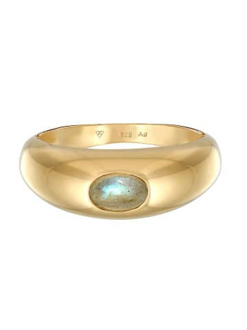 Elli Ring 925 Sterling Silber Siegelring in Gold