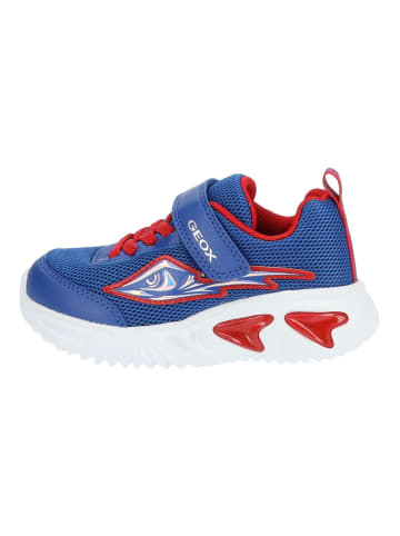 Geox Sneaker Blau/Rot