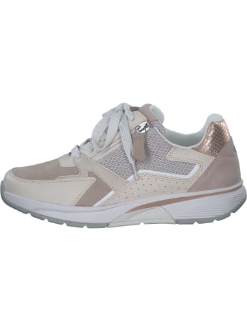 Gabor Schnürschuhe in oasi/ivory kombi