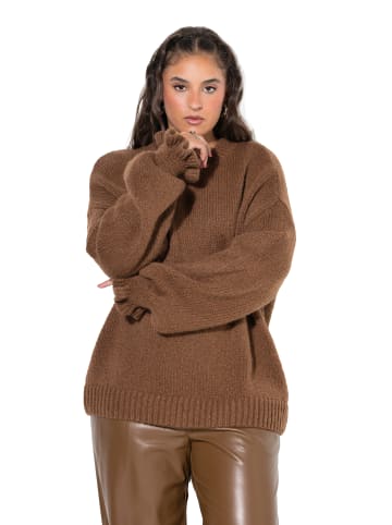 Studio Untold Pullover in kakaobraun