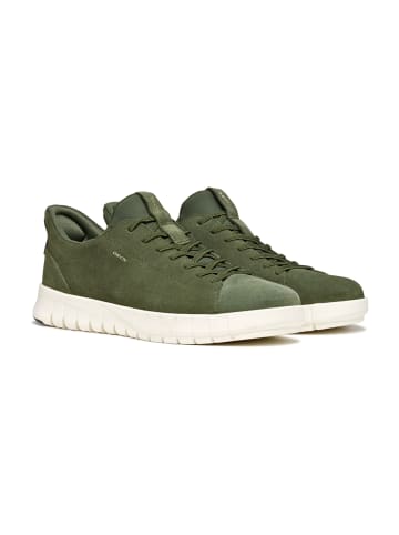 Geox Sportliche Schnürschuhe in Oliv