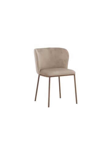 ebuy24 Esszimmerstuhl Edina Beige 2er Set