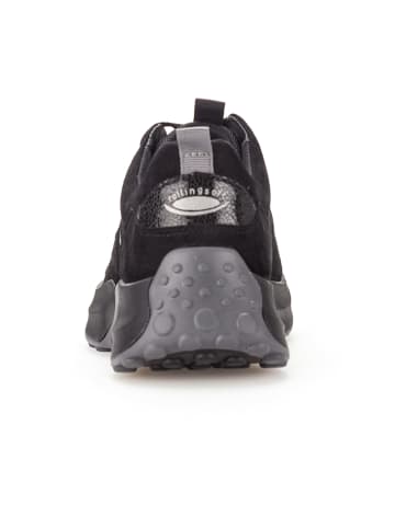Gabor Komfort Schnürschuhe in Schwarz