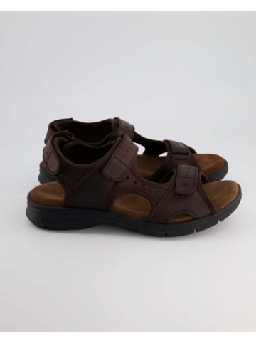 PANAMA JACK Sandalen in Braun