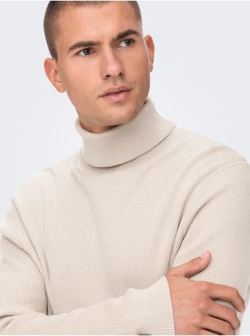 Only&Sons Lässiger Rollkragen Pullover Gerippter Feinstrick ONSPHIL in Beige-2