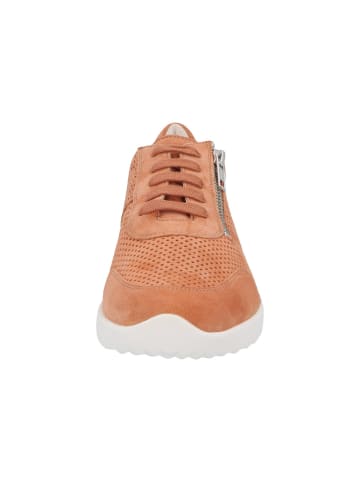 Solidus Sneaker Low in rot