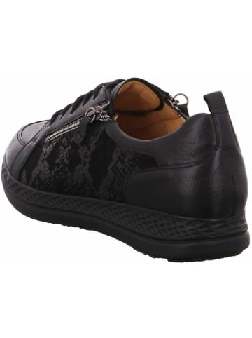 Ganter Komfort Schnürer für Damen in grau