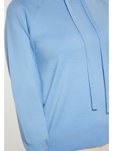 usha BLUE LABEL Women Hoodie in Hellblau