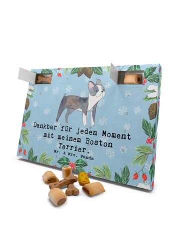 Mr. & Mrs. Panda Hund Adventskalender Boston Terrier Moment mit ... in Eisblau