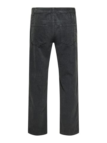 ONLY & SONS Hose in Grey Pinstripe