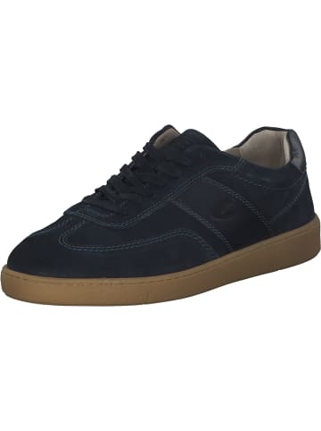 Camel Active Sneakers Low in navy blue