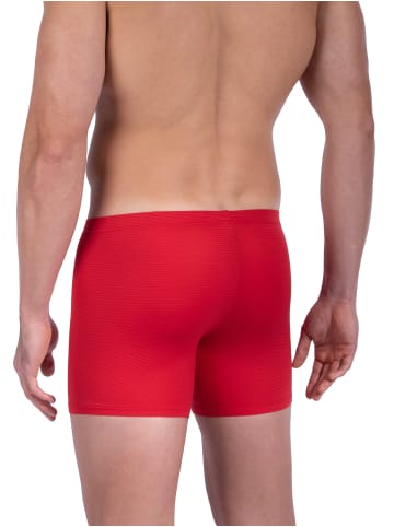 Olaf Benz Retro Boxer RED1201 Boxerpants in Rot