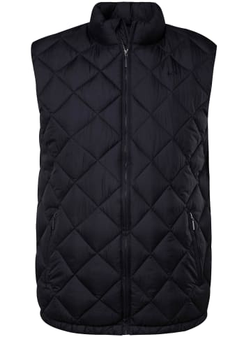 Men Plus Steppweste in navy blau