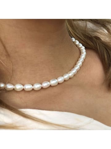 Ailoria SHIORI Halskette in gold