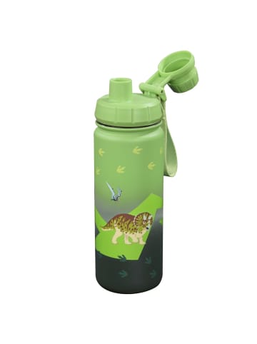 Step by Step Isolierte Edelstahl-Trinkflasche in Dino