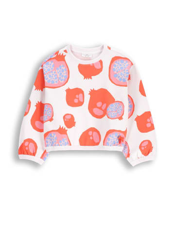 Coccodrillo Sweatshirt in weiß