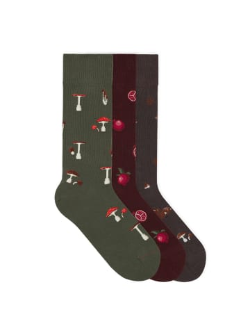 von Jungfeld Motivsocken Seasonal Icon Bundle in Mushroom/Pomegranate/Forest
