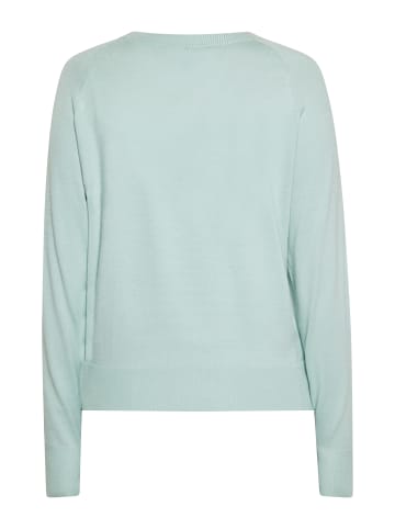 usha BLUE LABEL Women Sweater in Mint