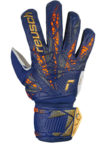 Reusch Torwarthandschuh Attrakt Solid in 4410 premium blue/gold