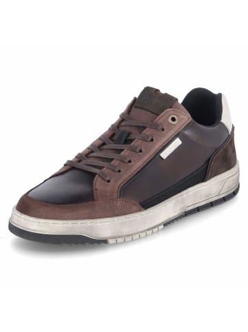 Low Sneaker in braun