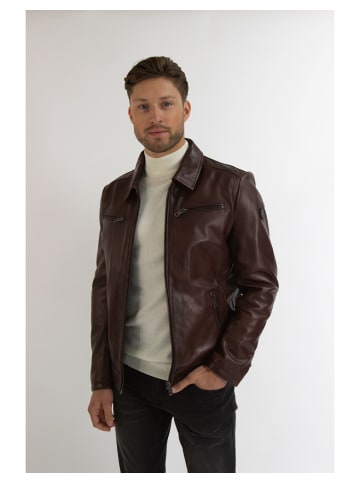 Donders 1860 Lederjacke Jervis in Active Brown