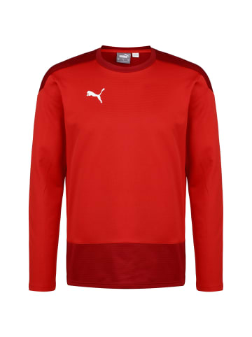 Puma Sweatshirt teamGOAL 23 in rot