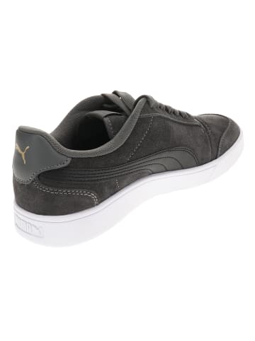 Puma Sneaker Low in Grau