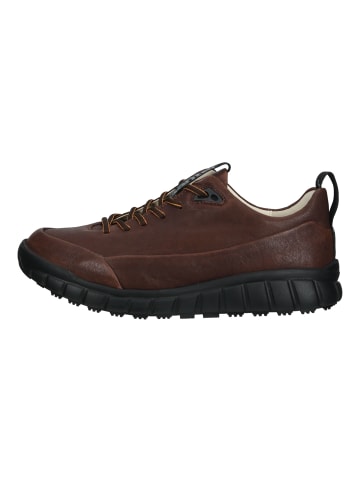 Ganter Sneaker in Chocolate