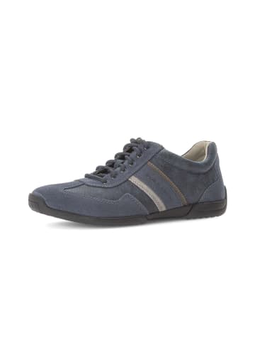 Gabor Sneaker low in blau