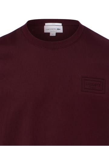 Lacoste T-Shirt in aubergine