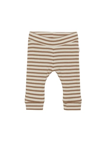 Noppies Hose Surry in Stripe pattern Medium Brown