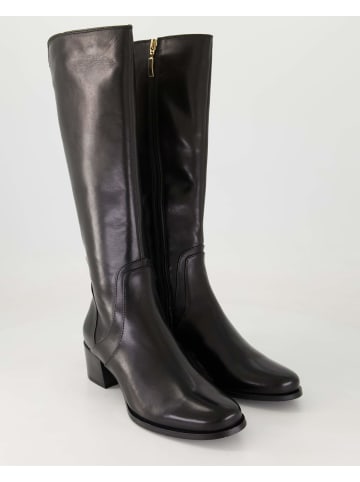 Terry Klassische Stiefel in Schwarz