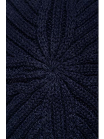 Reell Mütze "Ease Beanie" in Blau