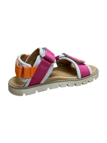 Froddo Sandalen in Pink