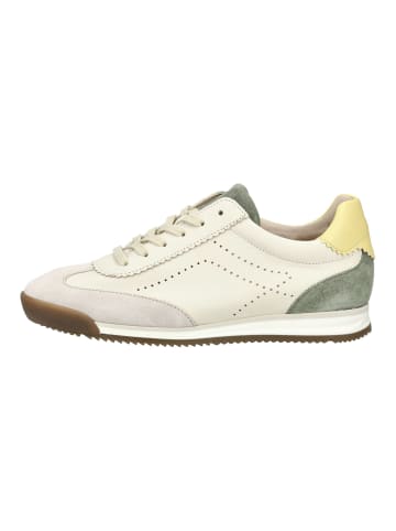 Gabor Sneaker in Beige/Grün