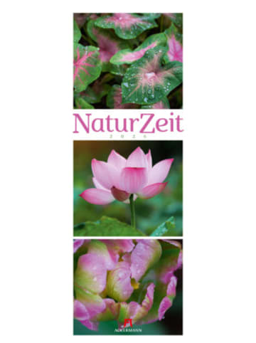 Ackermann Kunstverlag Kalender - NaturZeit Triplet-Kalender 2026