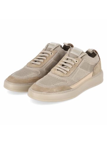 Palado Low Sneaker in beige