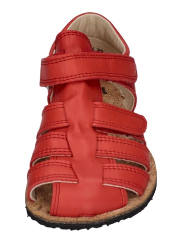 KOEL Sandalen ARIN NAPPA in rot