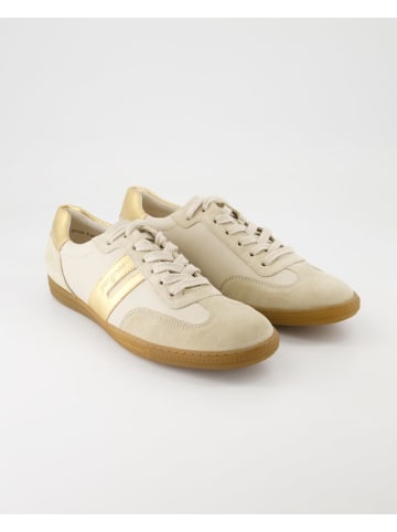 Paul Green Sneaker low in Beige