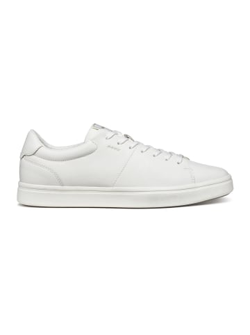 Geox Sneakers Low U BALTMOORE in weiß