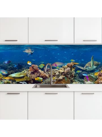 OnlyWow Küchenrückwand Schildkröte